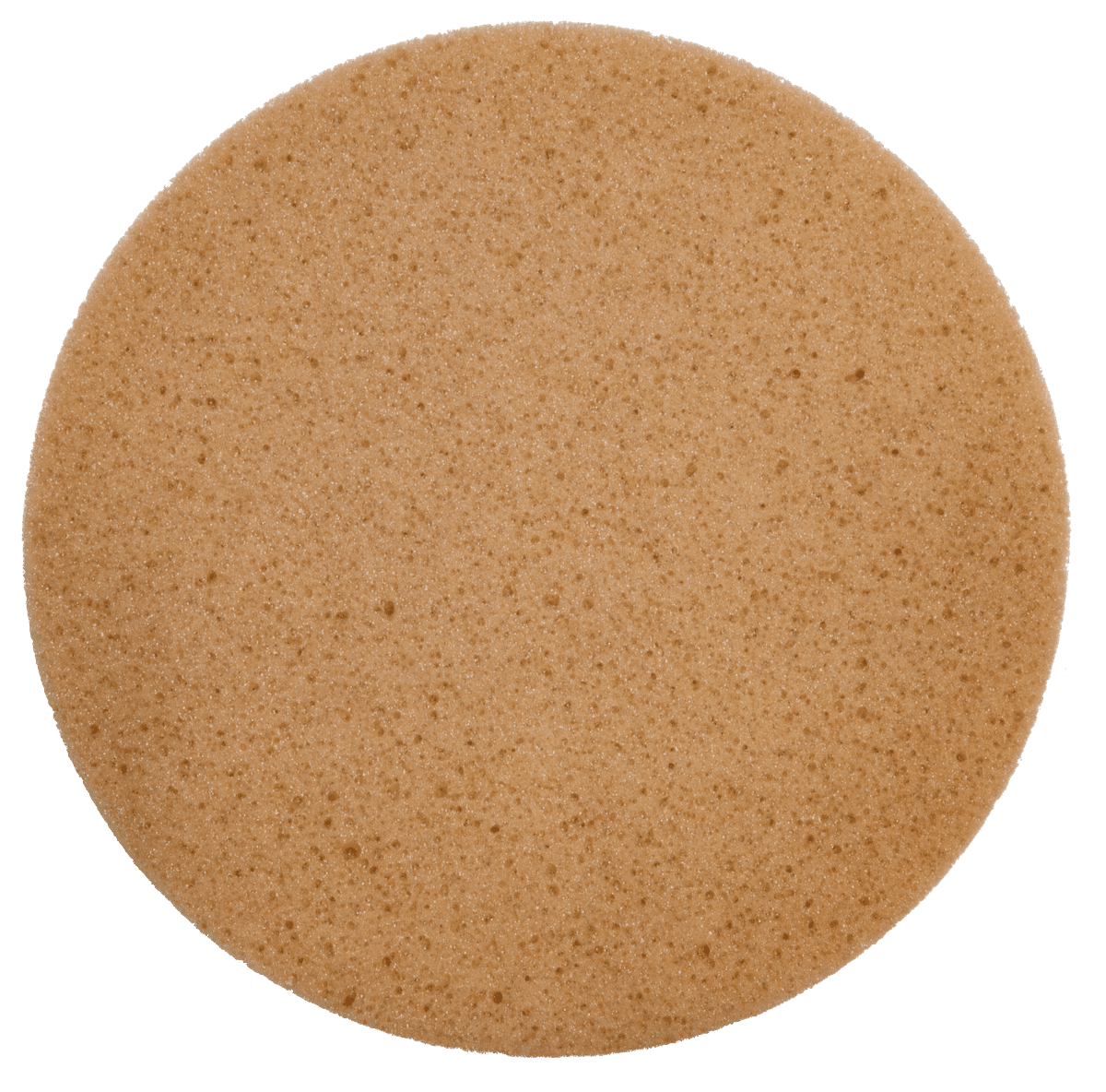 Disque éponge avec velcro marron